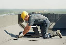 Best Asphalt Shingle Roofing  in Winter Garden, FL